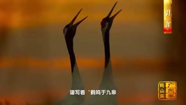 微信图片_20181122101231.jpg